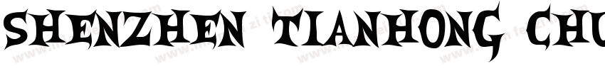 Shenzhen Tianhong Chuangyue Technol字体转换